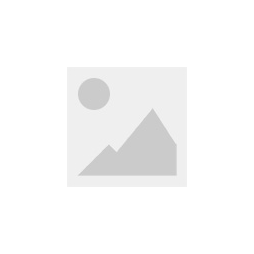 RS6210 stopwatch timer